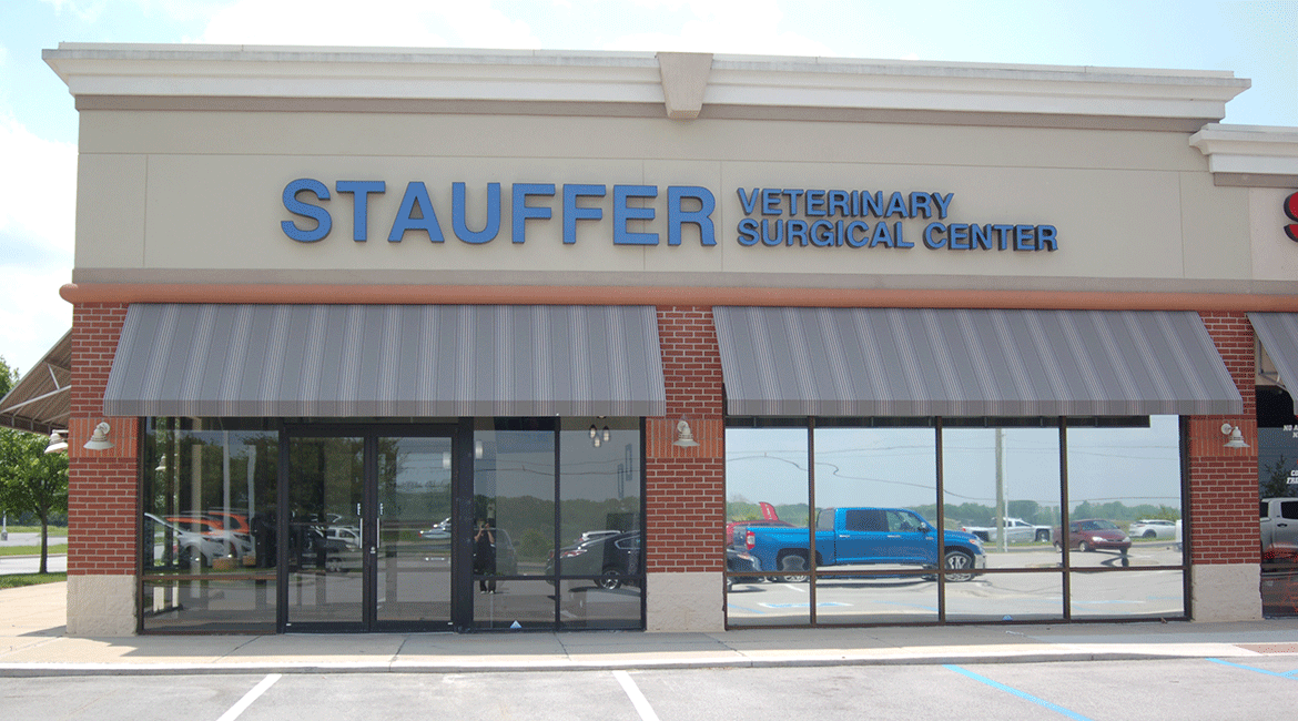 Stauffer Veterinary Surgical Center | Location Exterior