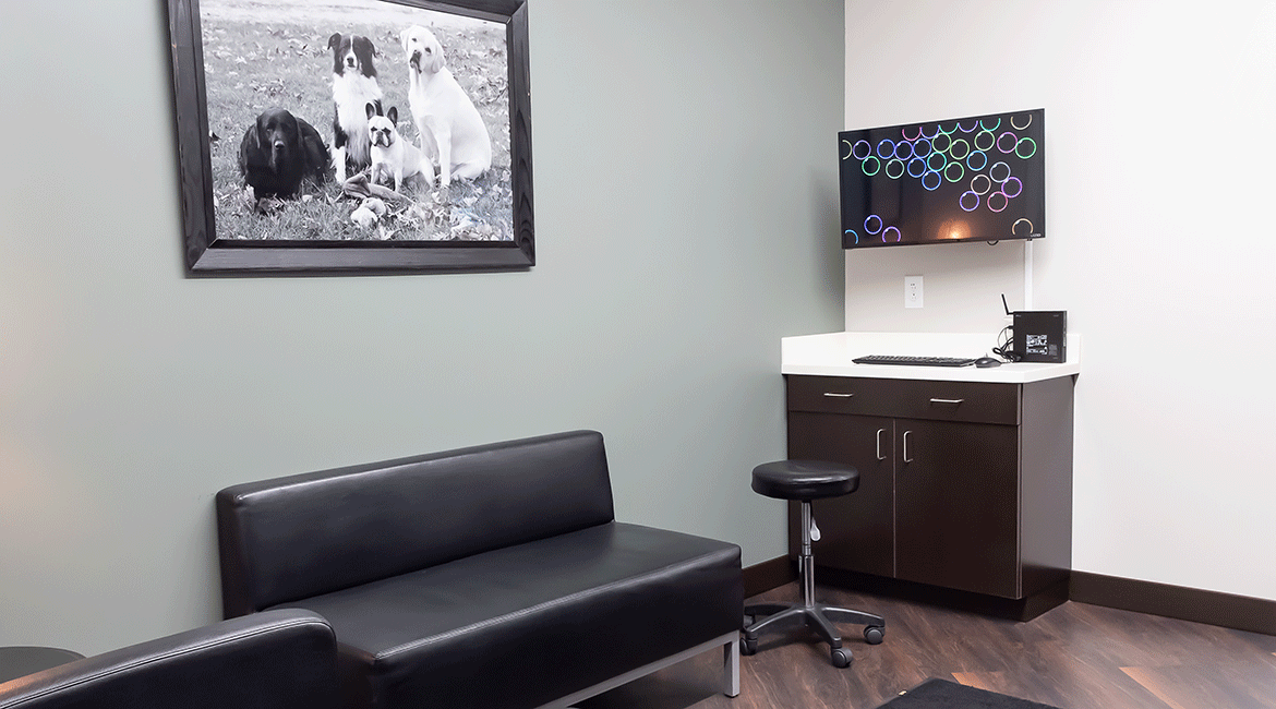 Stauffer Veterinary Surgical Center | Inside the Practice