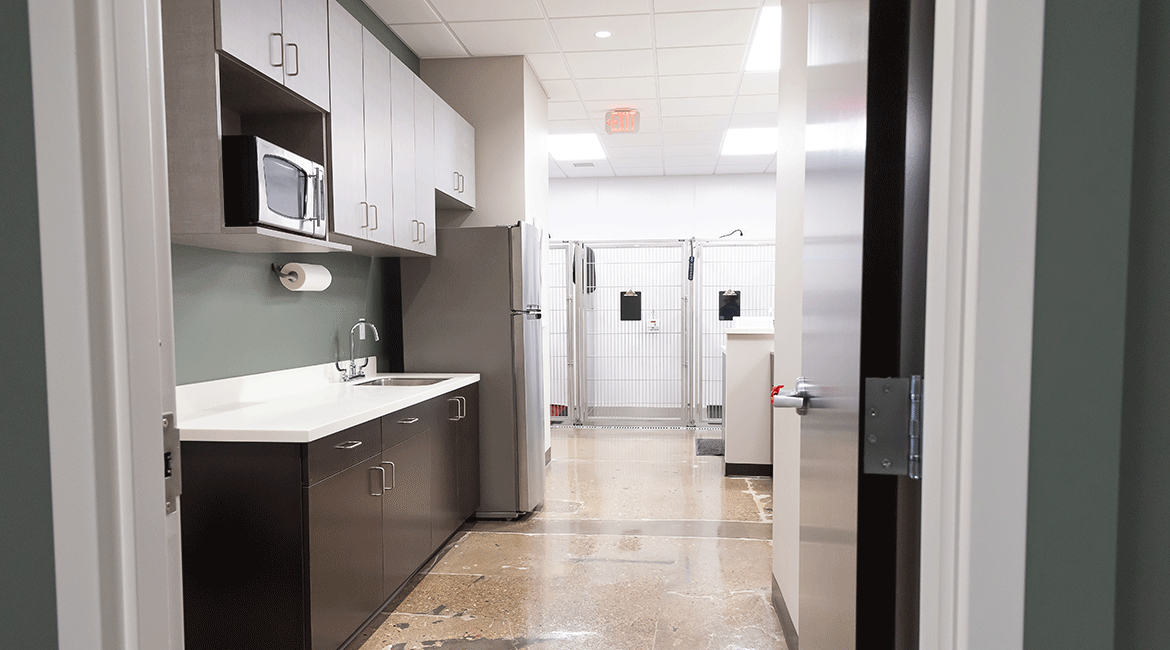 Stauffer Veterinary Surgical Center | Inside the Practice